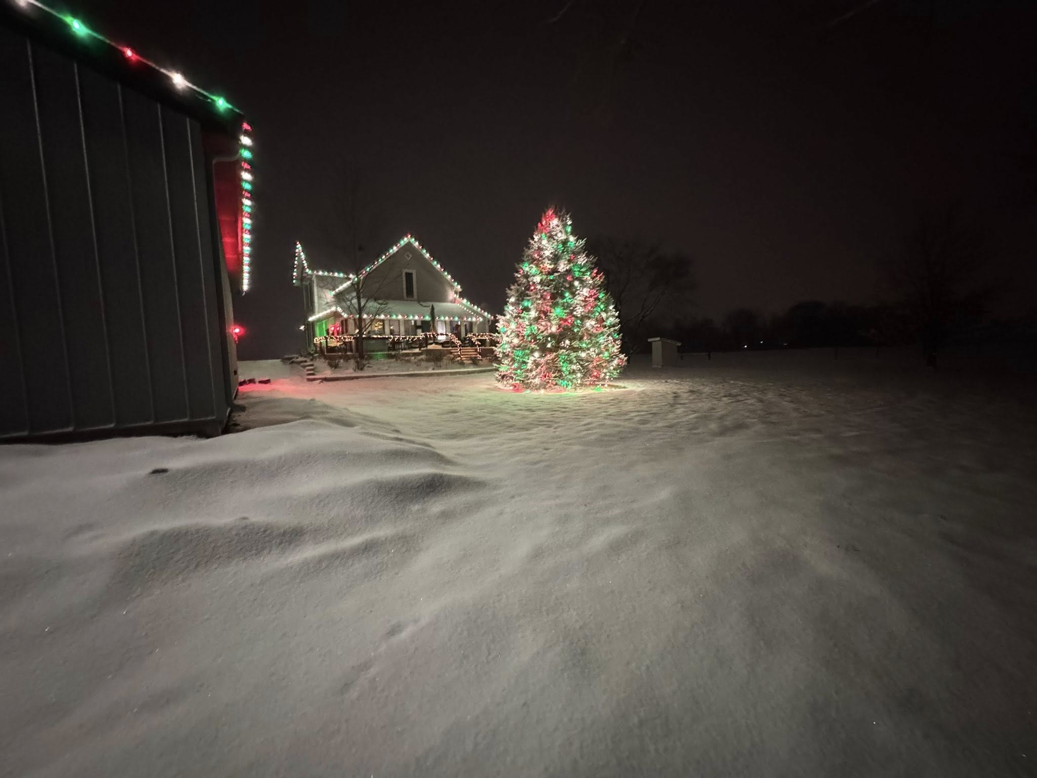 Orphey Lighting
